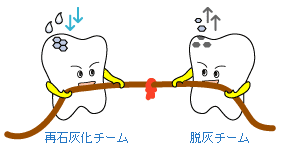 再石灰化と脱灰