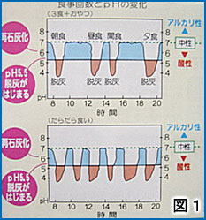 再石灰化と脱灰